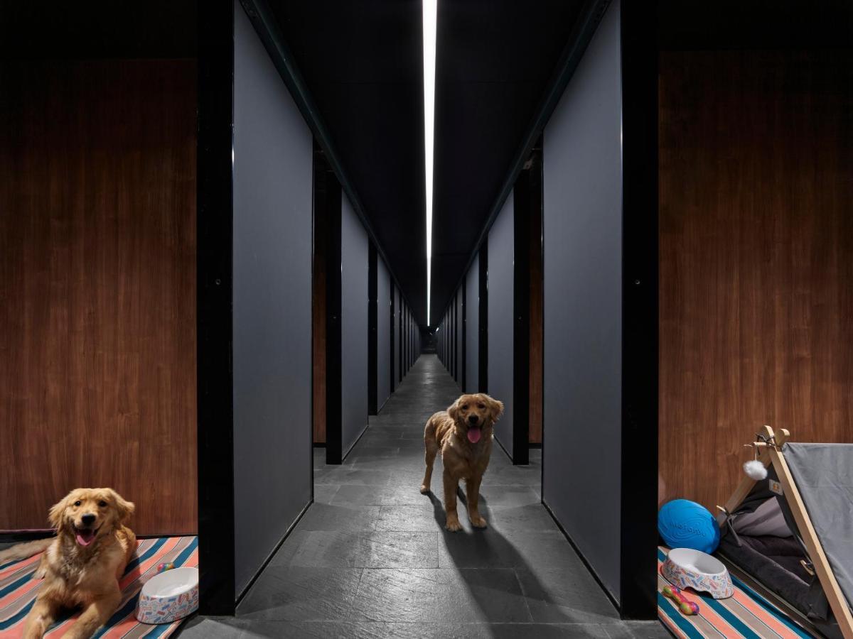 Angsana Chengdu Wenjiang Hotell Exteriör bild